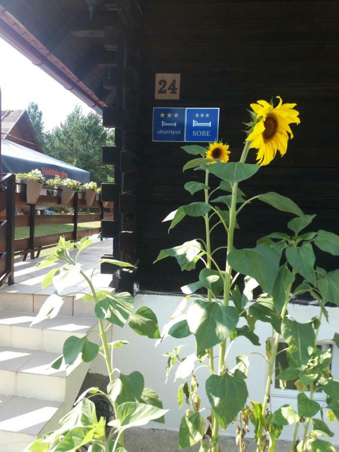 Apartments Family Trauber Korenica Dış mekan fotoğraf