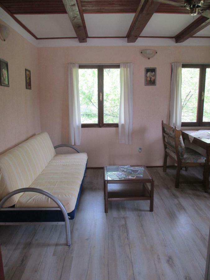 Apartments Family Trauber Korenica Dış mekan fotoğraf